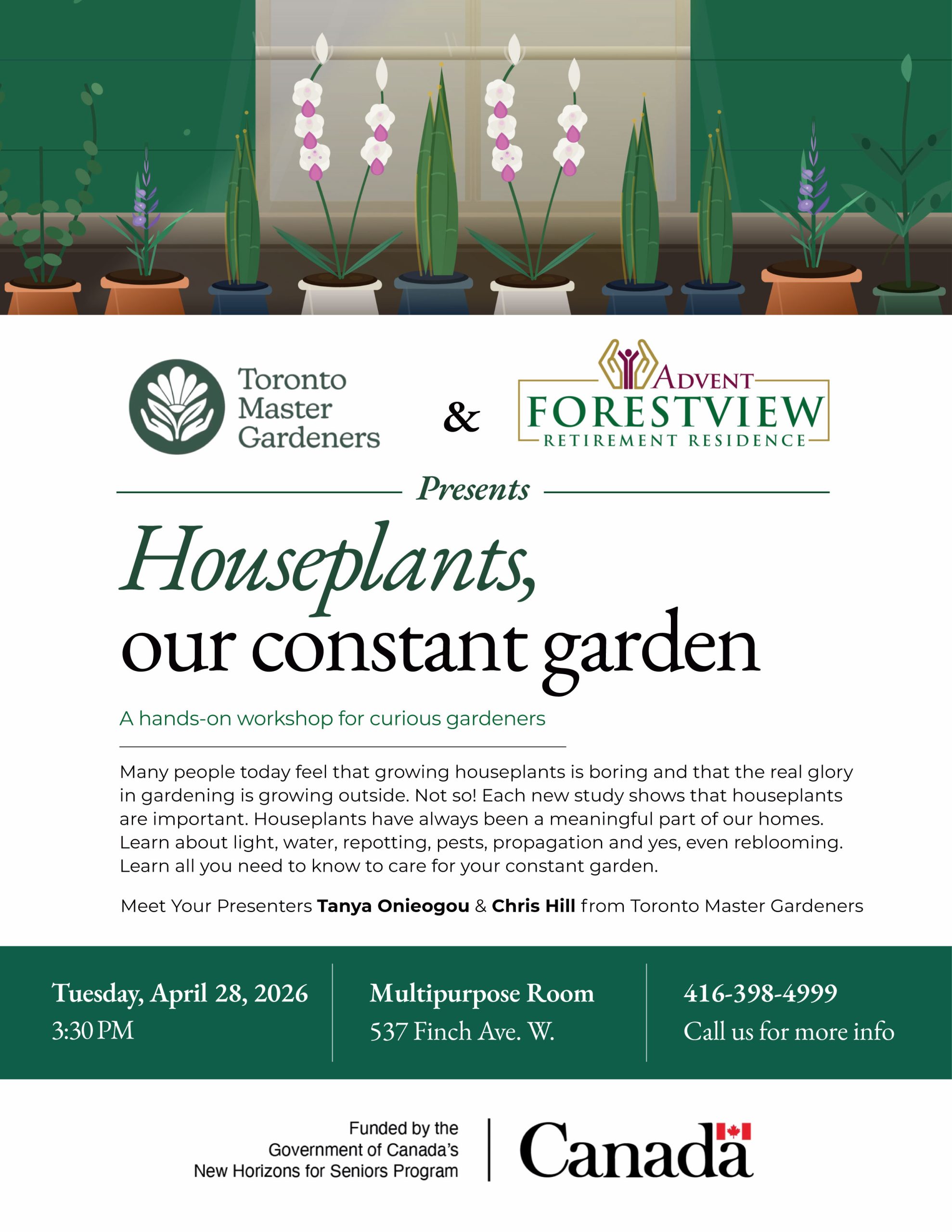 An illustration of various plants in pots placed on a window ledge